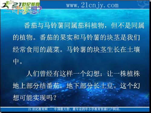 2010生物高考復(fù)習(xí) 生物科技 專(zhuān)題系列課件07 植物細(xì)胞工程