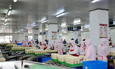 長(zhǎng)春高榕生物科技:深耕食用菌產(chǎn)業(yè) 用科技還原生態(tài)之美