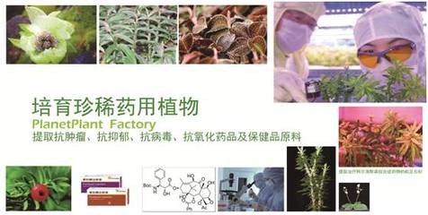 【招聘】中科生物招聘進(jìn)行時(shí)!再不來(lái)好工作都讓人搶走啦~