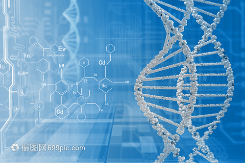 DNA分子高科技DNA分子的生物化學背景