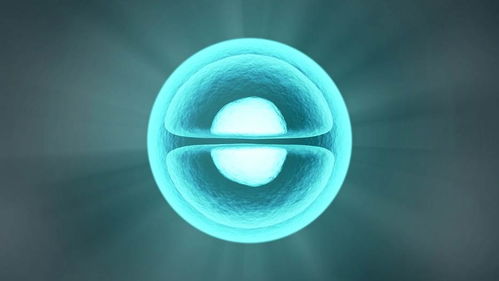 it化合成生物學平臺小熊貓生物完成數千萬元天使輪融資